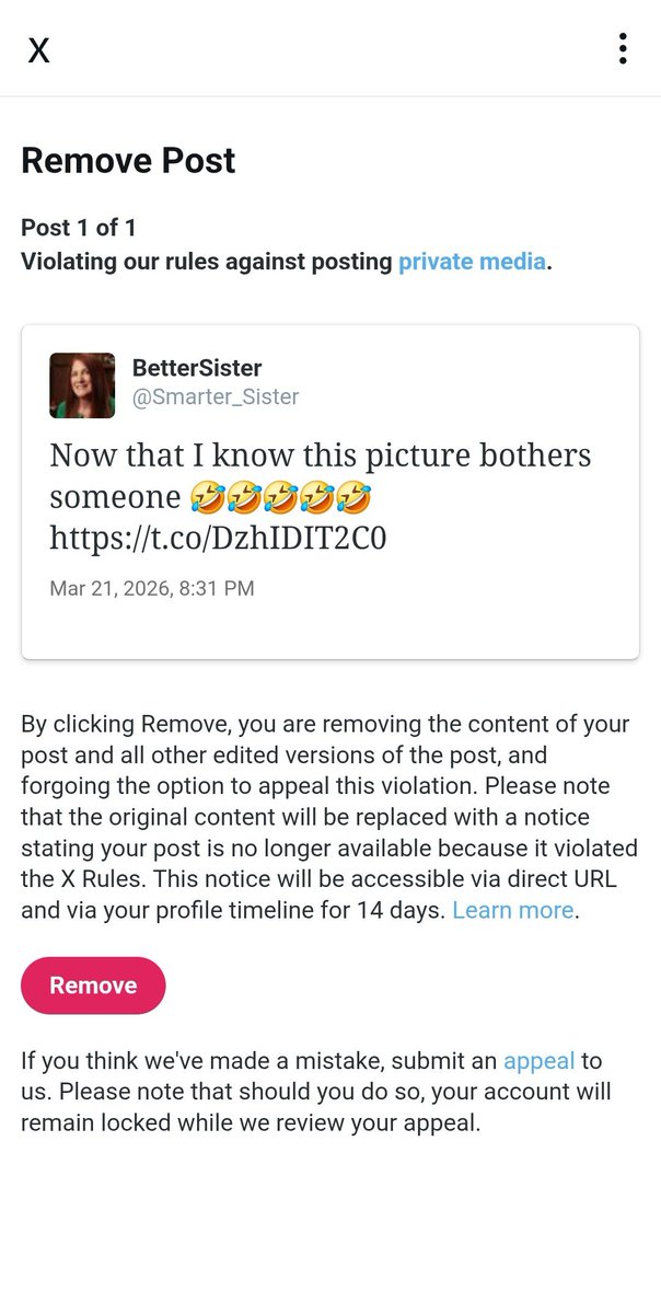 BetterSister (@Smarter_Sister) / Posts / X