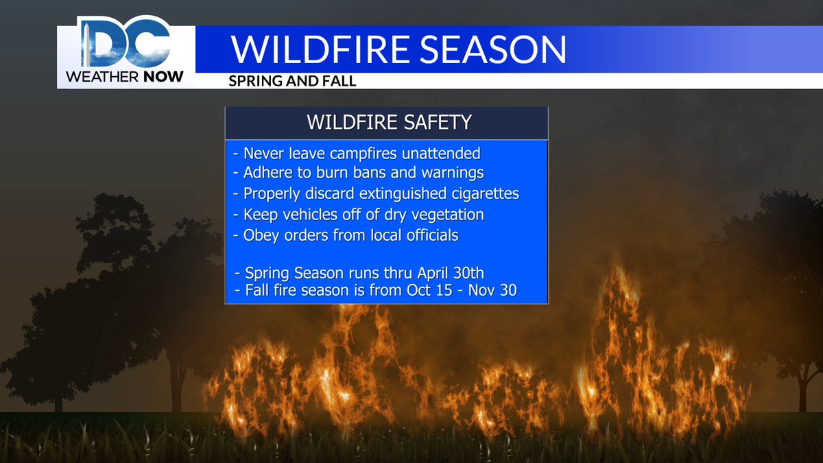 Scott Sumner tweet media