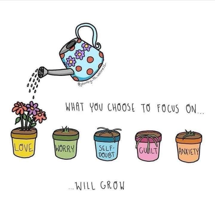 Wisdom of the Ages tweet media