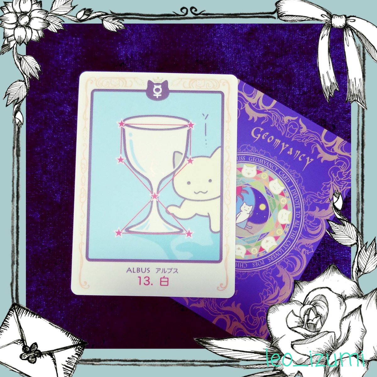 泉怜緒Leo Izumi🕊️ tweet media