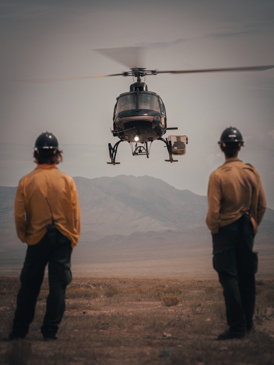 U.S. Wildland Fire Service tweet media