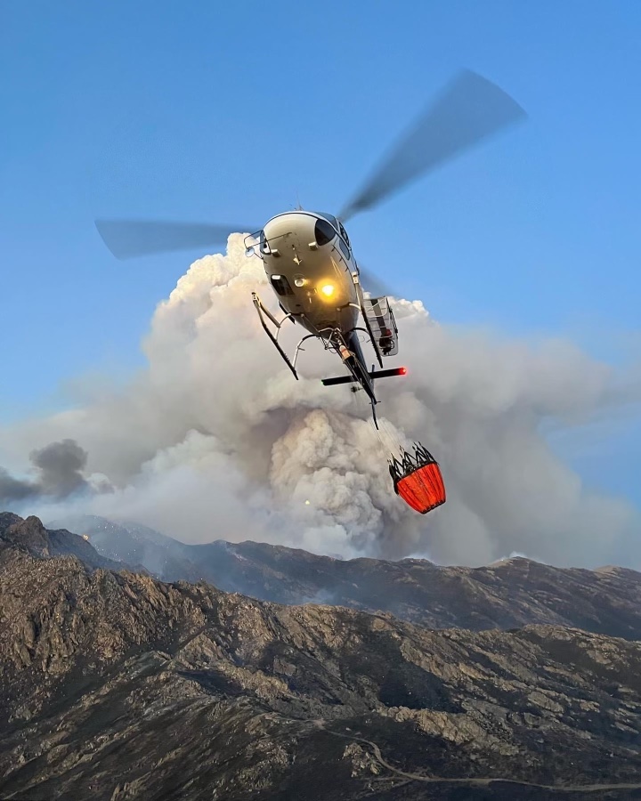 U.S. Wildland Fire Service tweet media