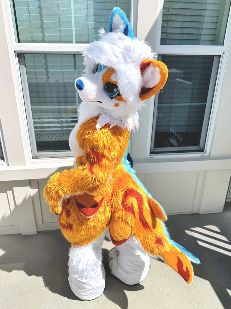 TigerZuotiger's tweet photo. ૮⑉･-･⑉ა ✧ https://t.co/wldXCT3hQA