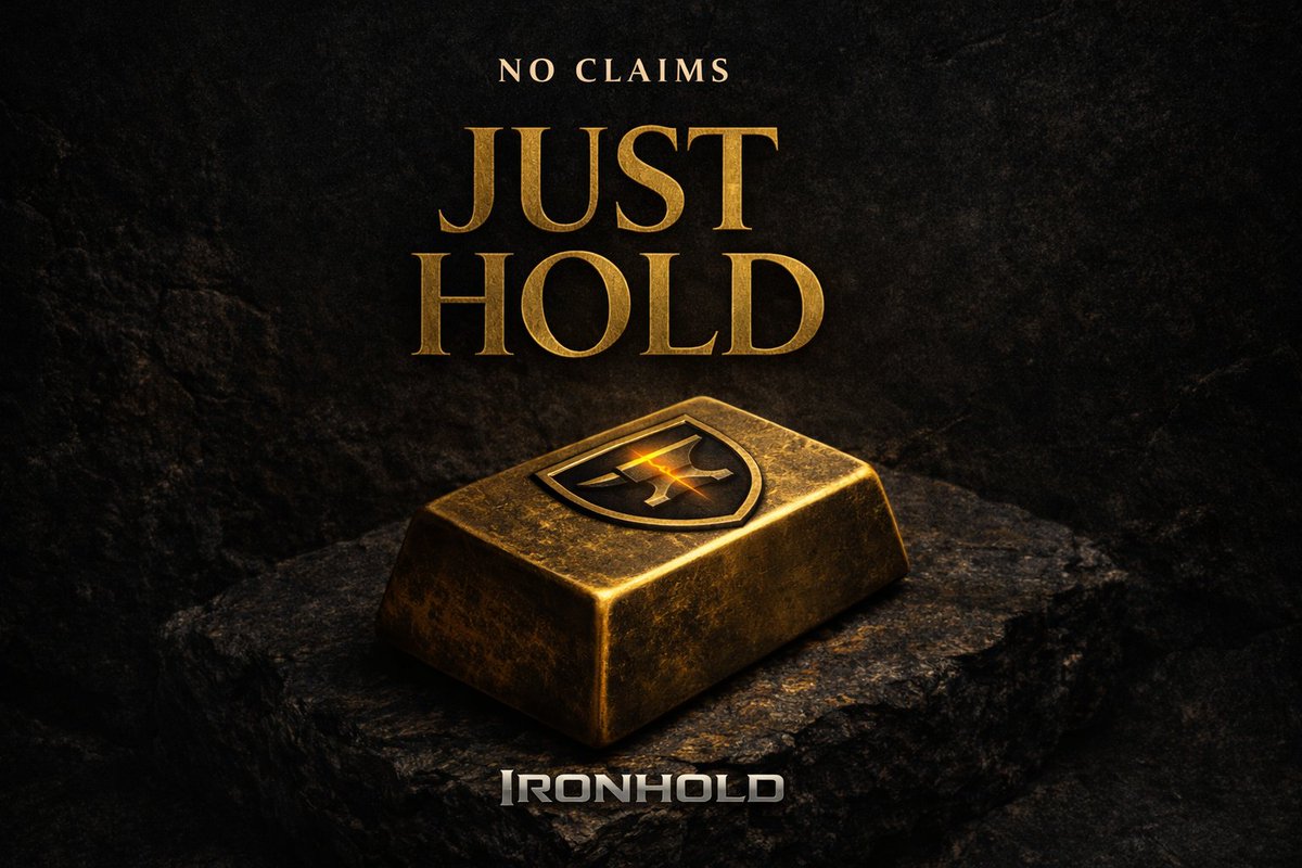 IRONHOLD tweet media