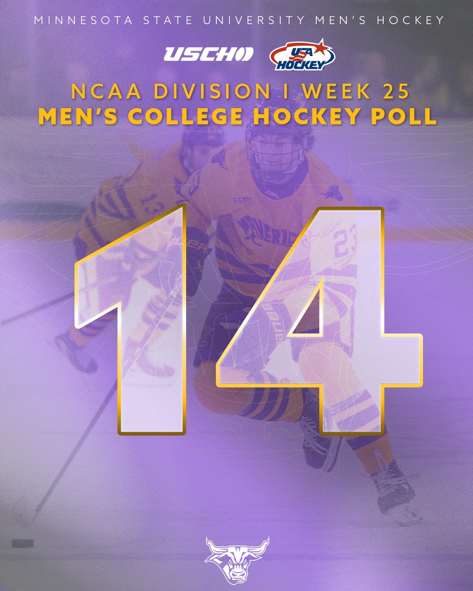 Minnesota State Hockey tweet media