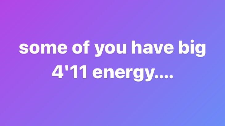 punch the monkey Updates tweet media