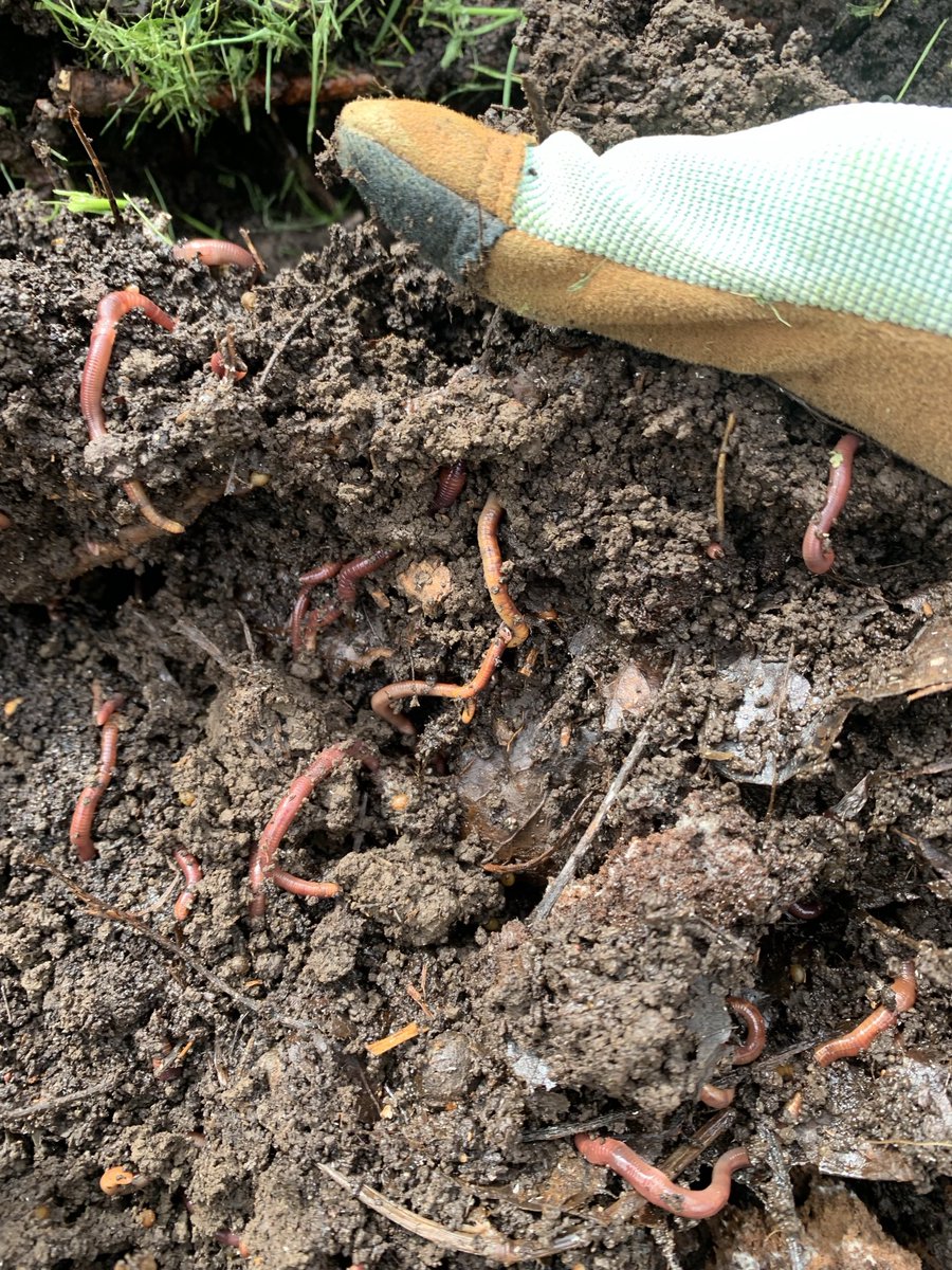 Egg Foo Jung 🏴🗯🖋🎼⚾️☕️🦖 tweet media