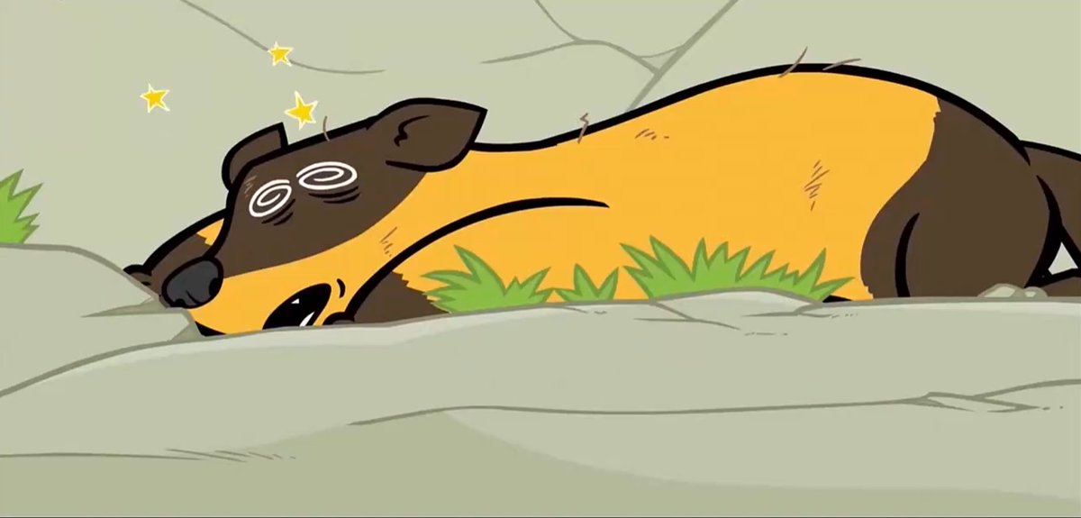 熊广林 tweet media