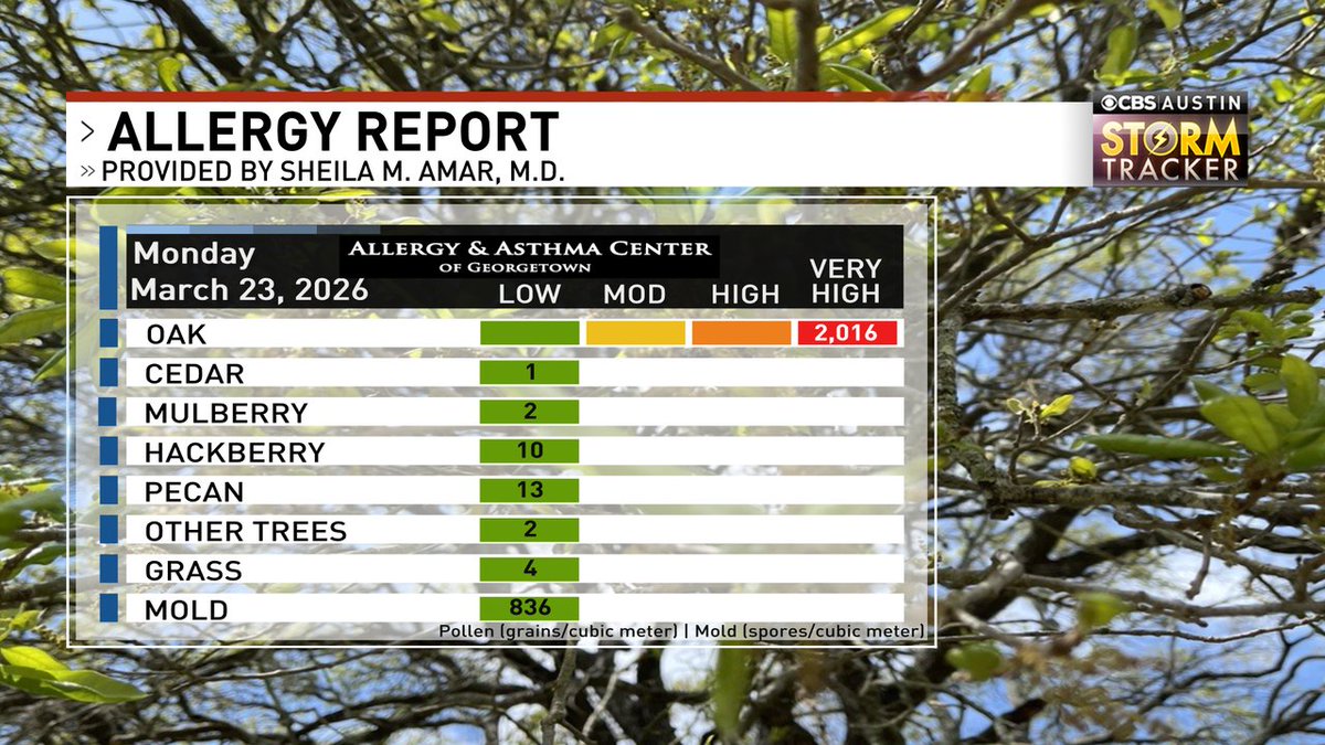 Chikage Windler WX tweet media
