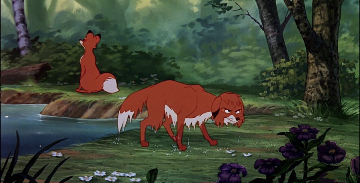 Julie Lucas Runco 🌟 tweet media