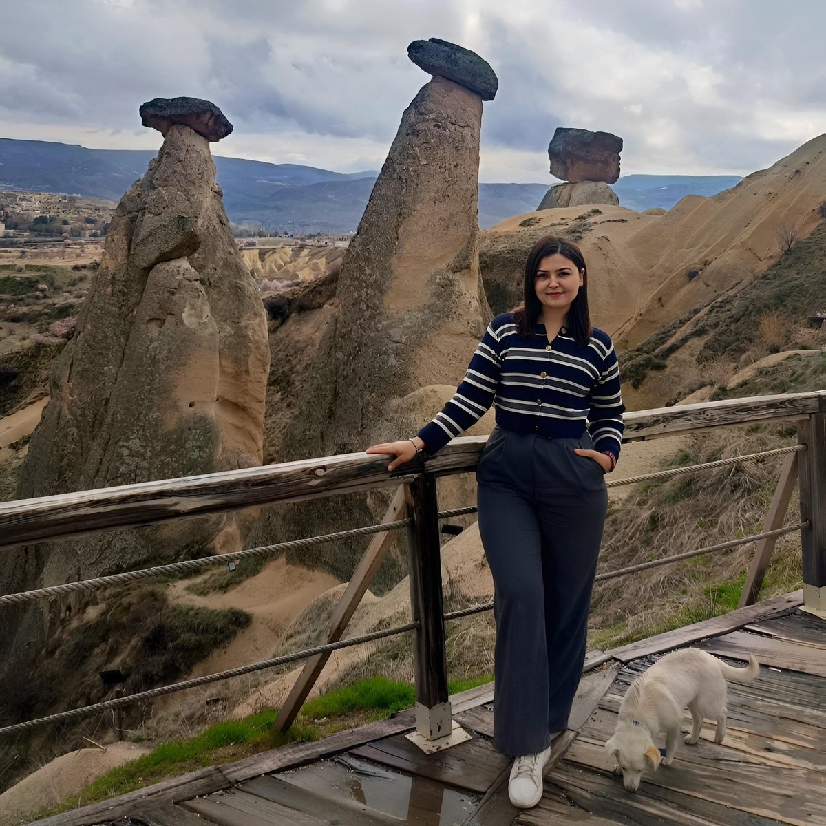 Gamziş 🐼 tweet media