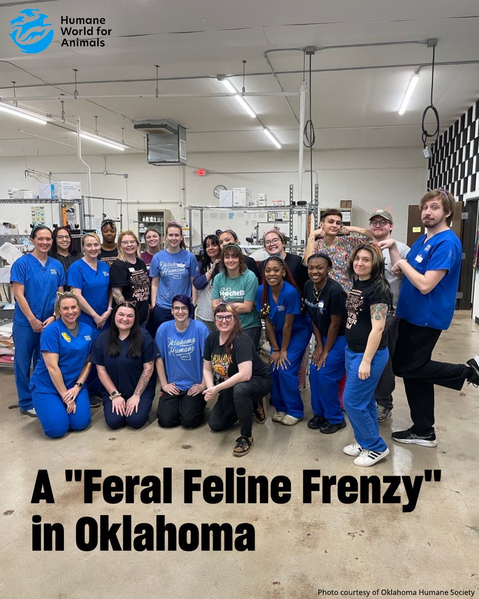 HumanePro tweet media