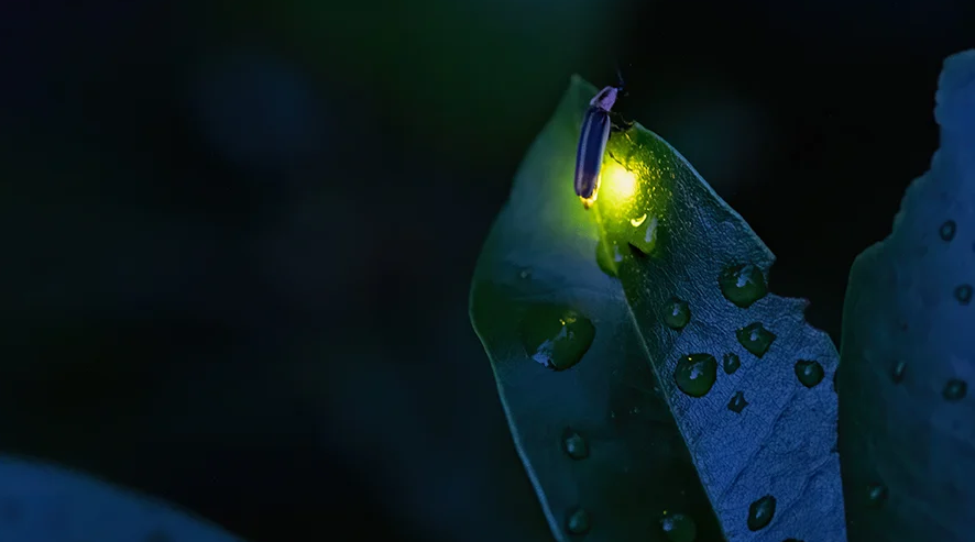 Give A Shit About Nature tweet media