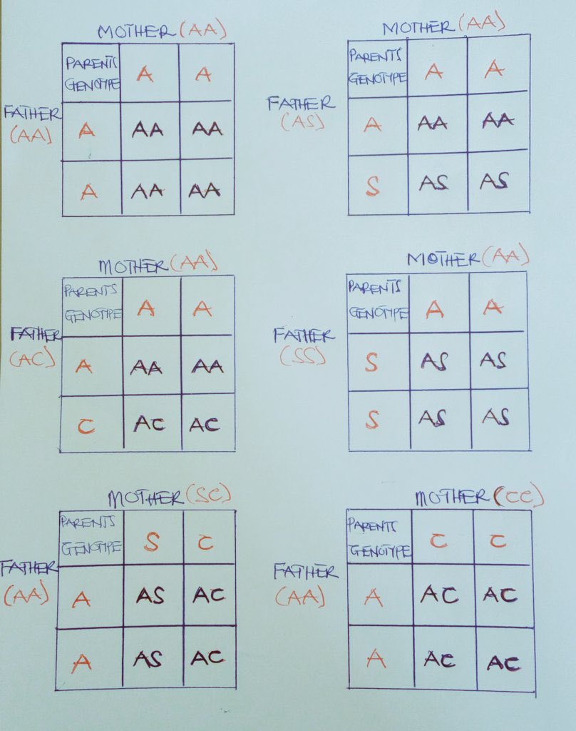pascal🥷 tweet media