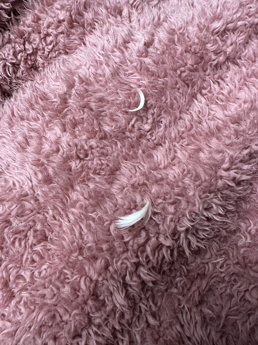 Gemma Dearsley tweet media