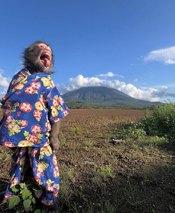 insane poses tweet media