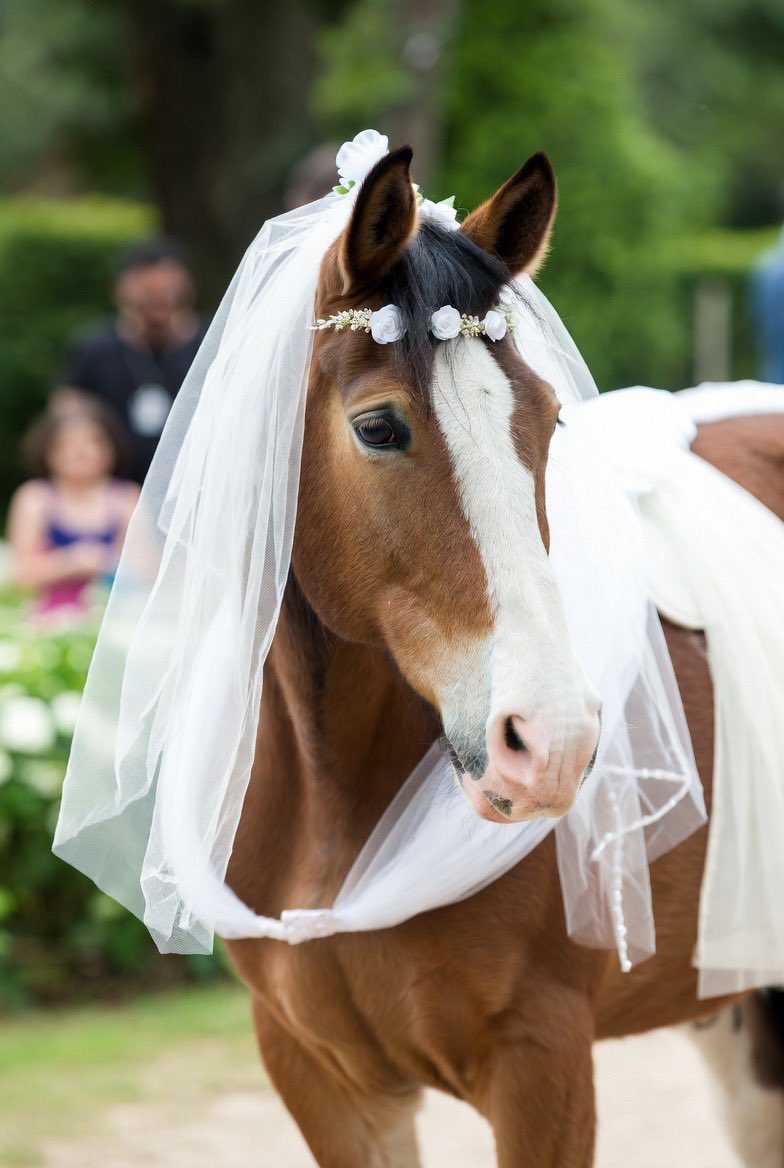 Leman Walters tweet media