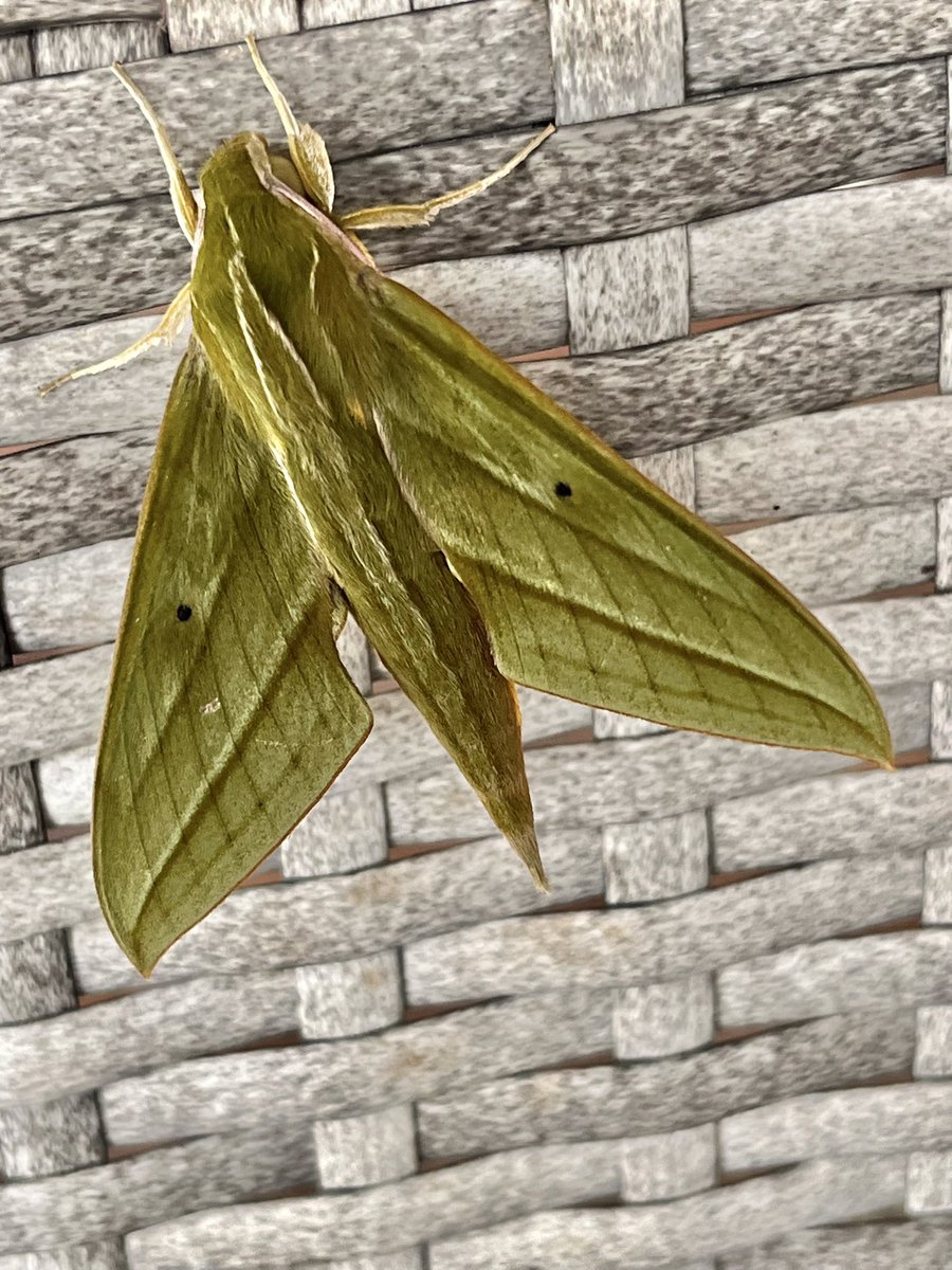 Andrew C Sims tweet media