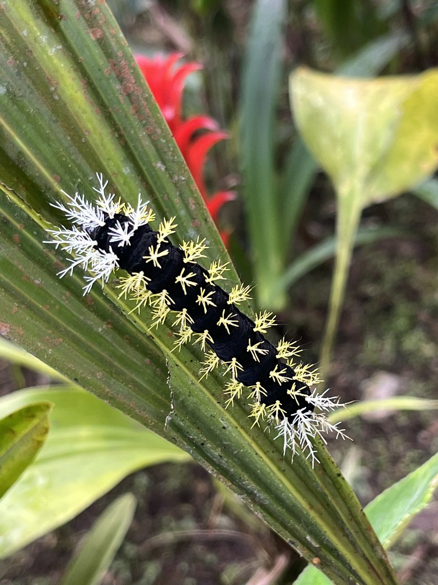 Andrew C Sims tweet media