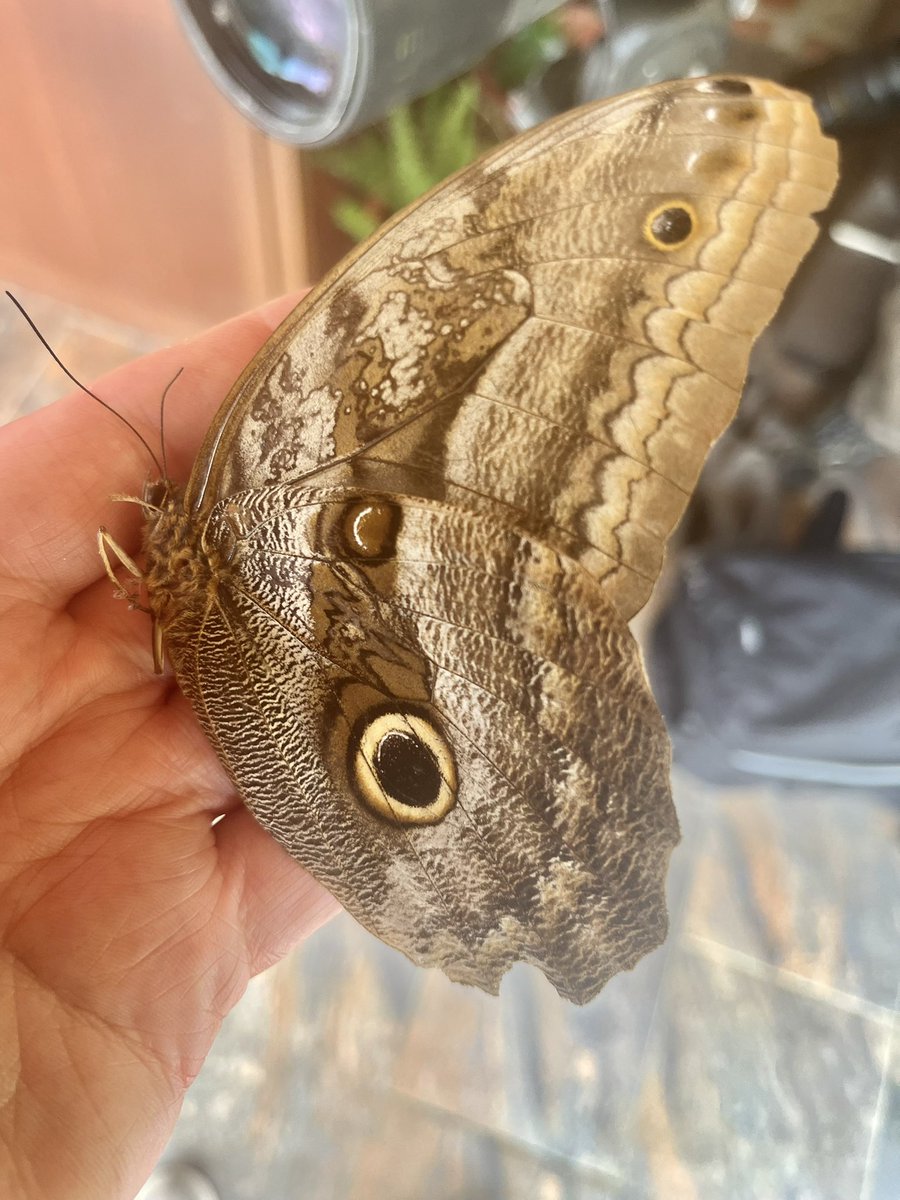 Andrew C Sims tweet media