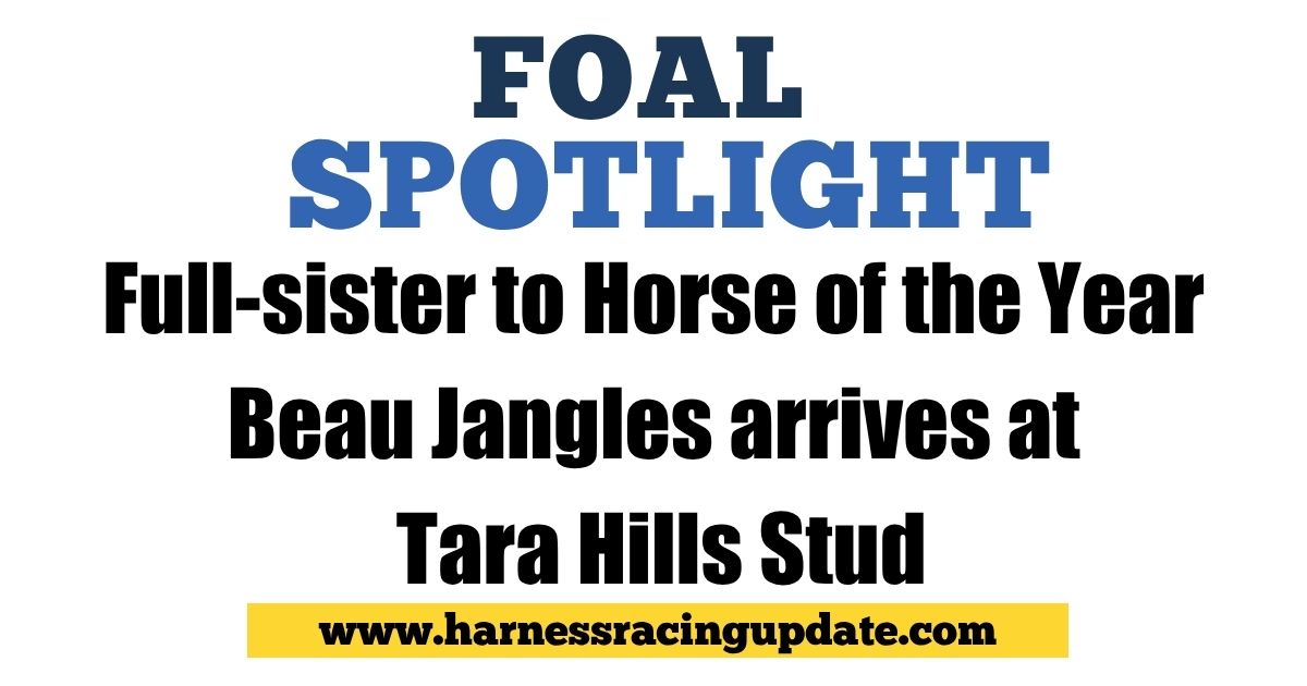 Harness Racing Update tweet media