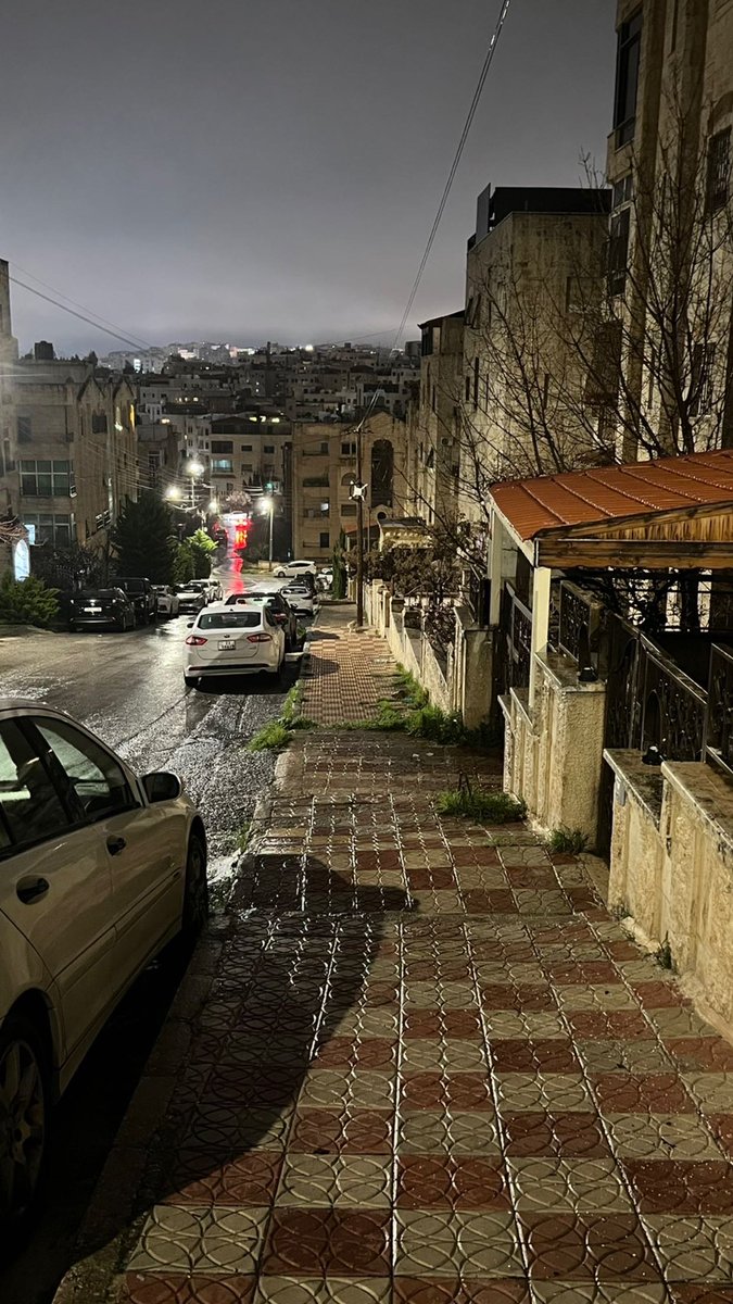 مشاري tweet media