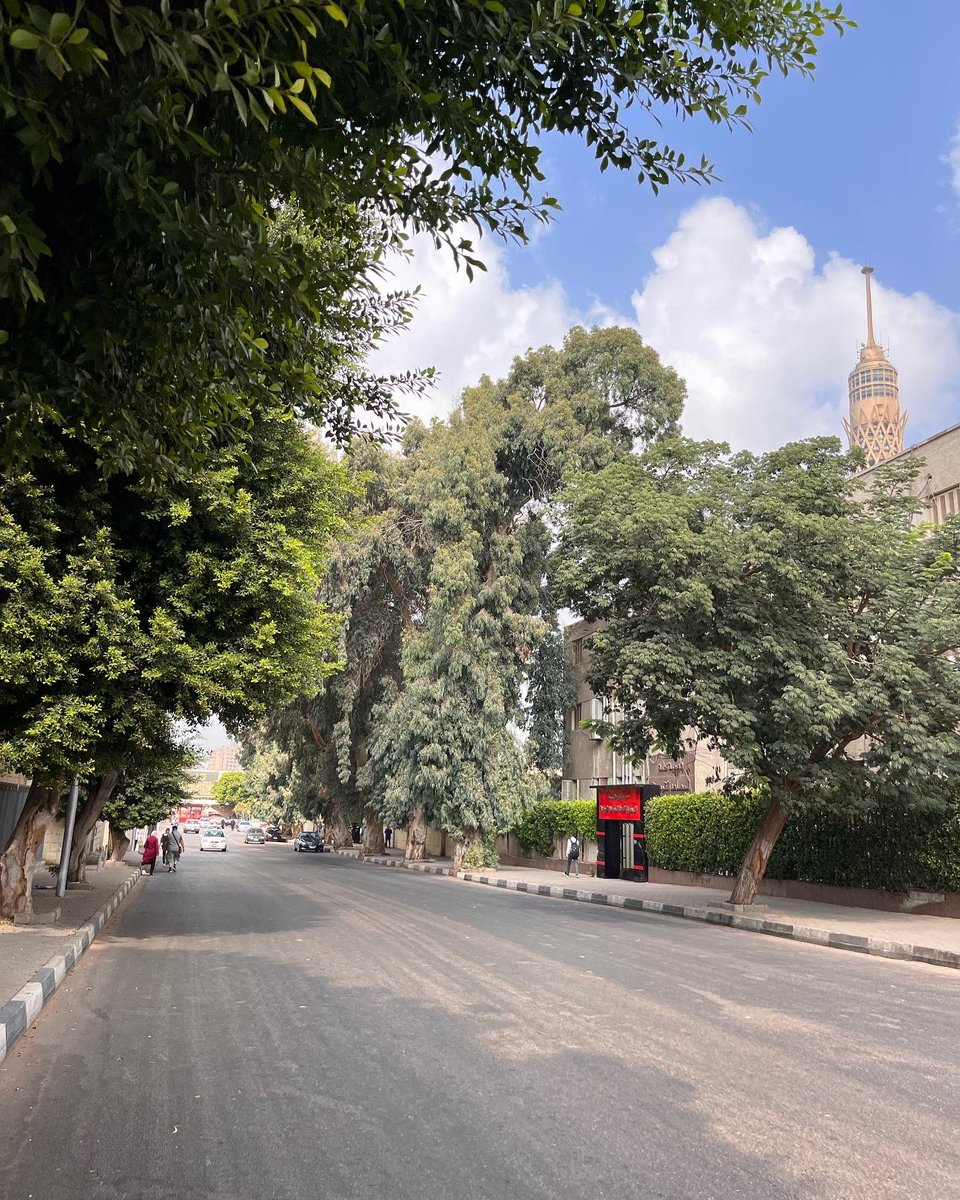 Hadeer Emara 🦌 tweet media