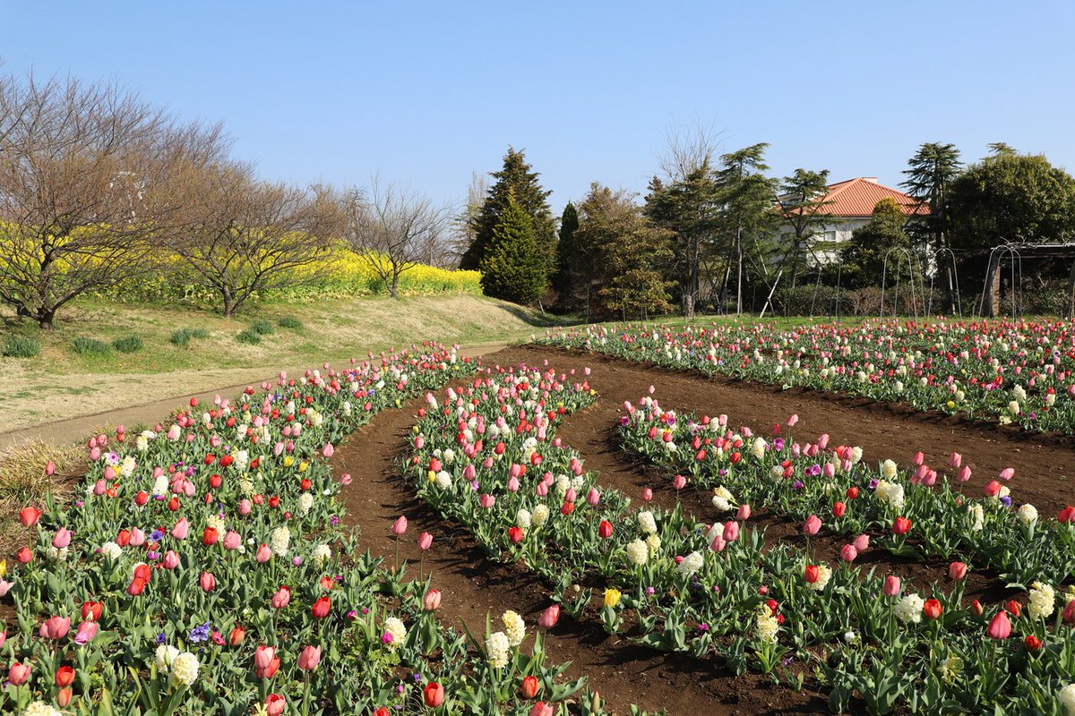 Hiro Kitsukawa tweet media