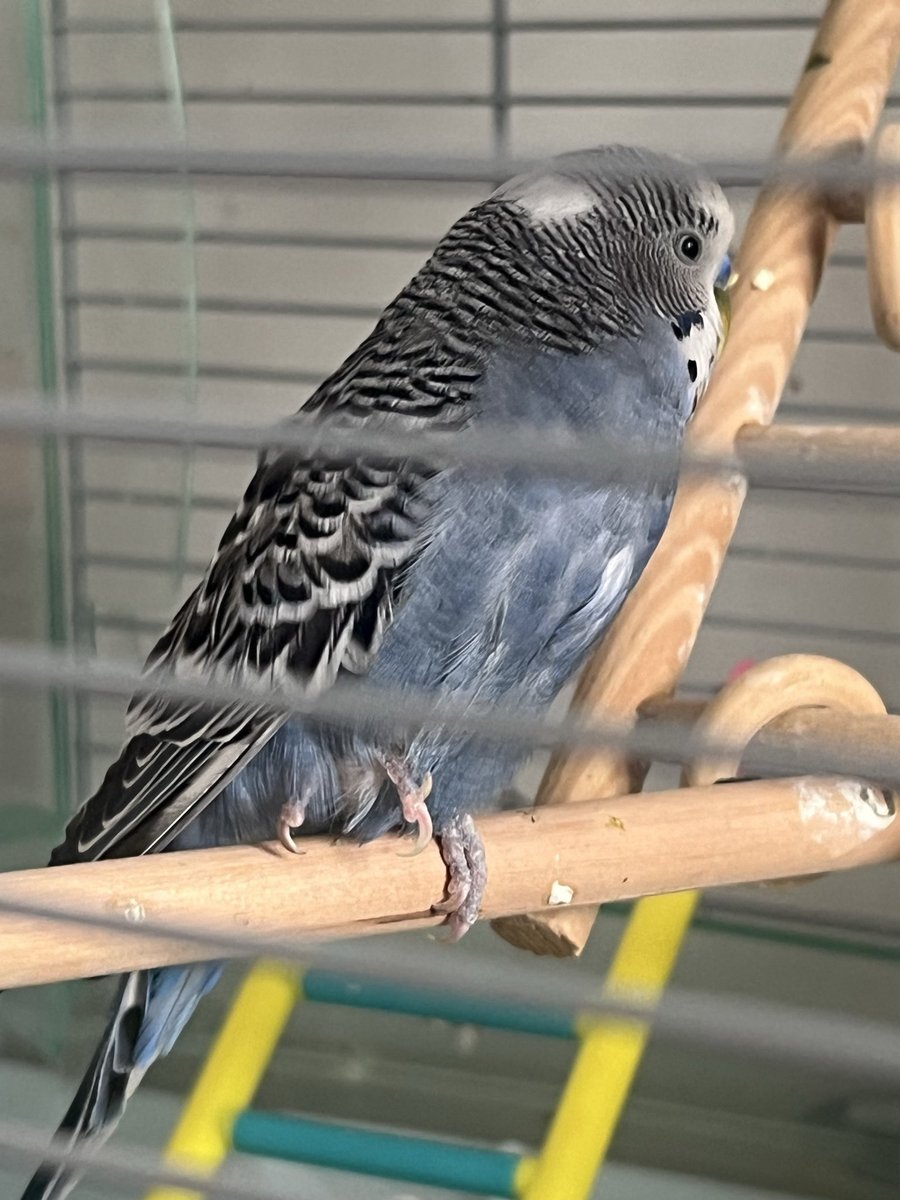 Just a girl with opinions♿️🇨🇦 tweet media