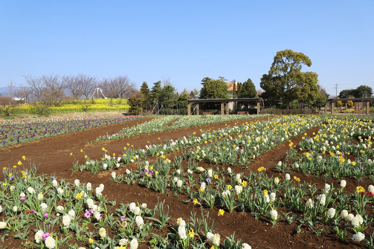 Hiro Kitsukawa tweet media