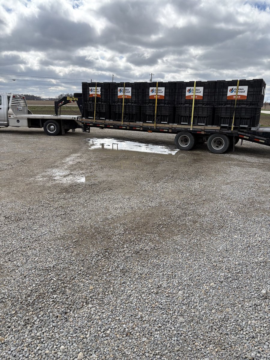 Jon Bergman tweet media