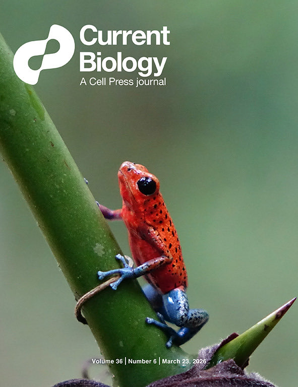 Diana Aguilar-Gómez tweet media