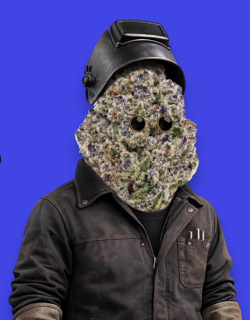 Michael Freund tweet media