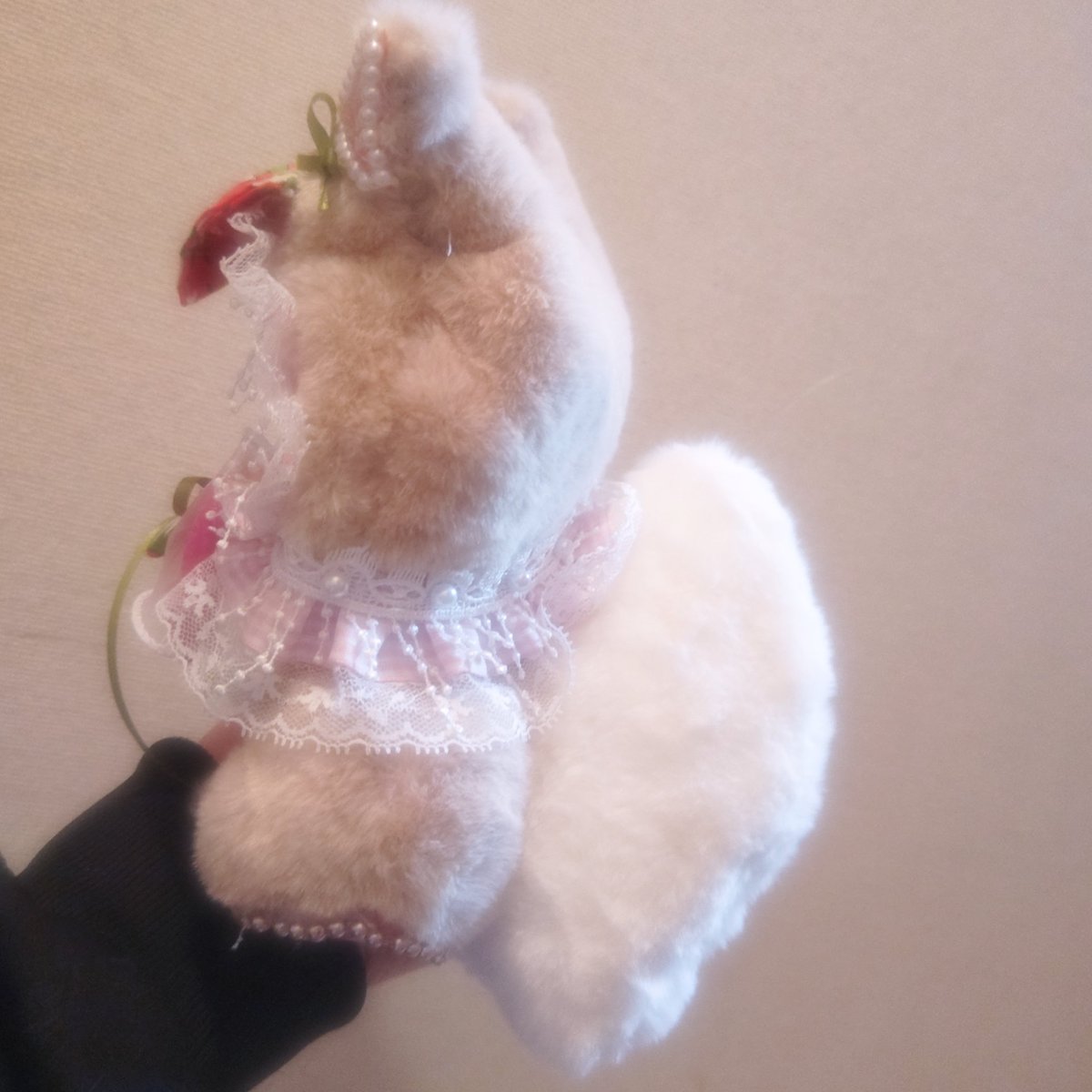 萌ゆる闘志 tweet media