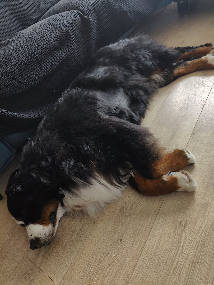 Brie's World 🌍🇬🇧🇨🇭 tweet media