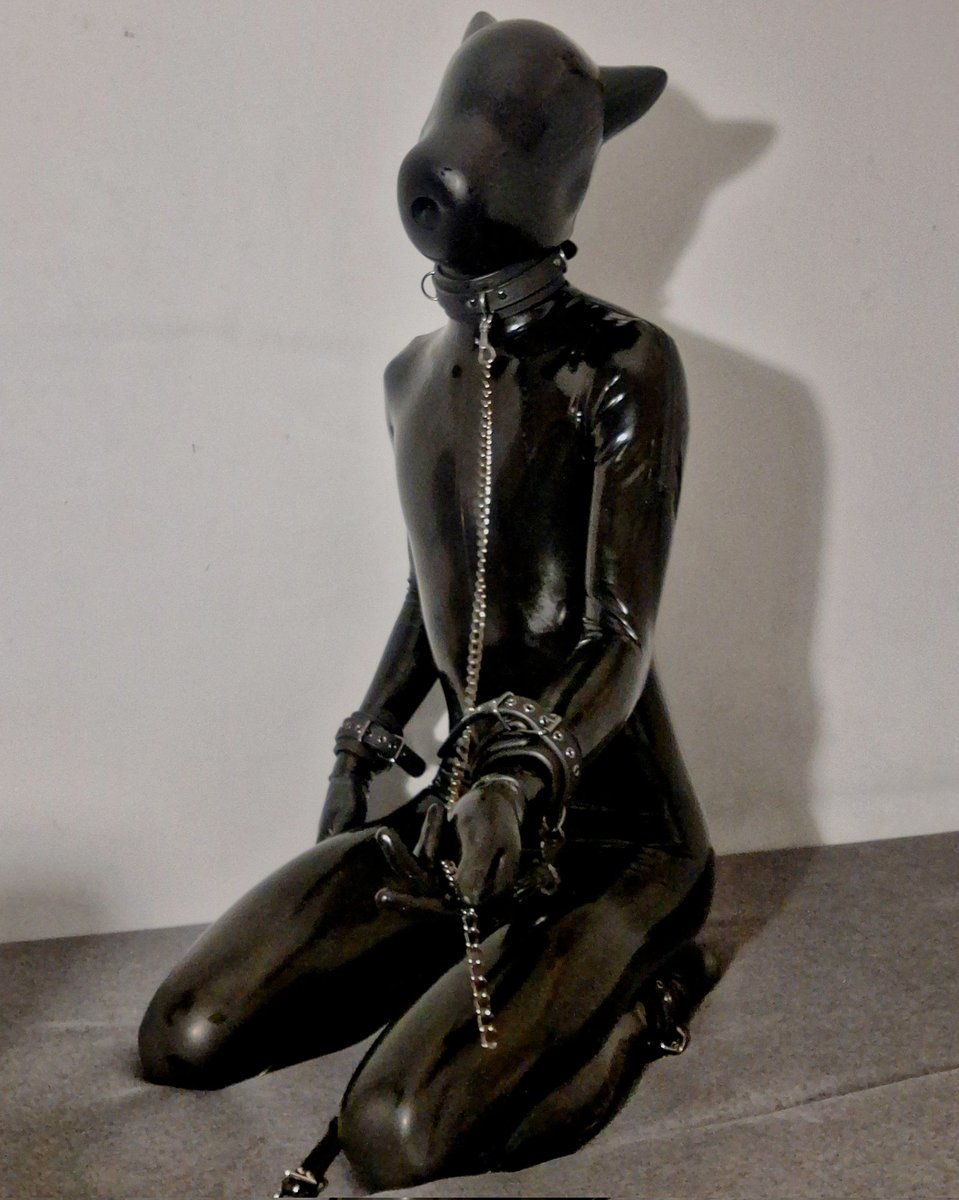 ArtemisRoeDeer tweet media