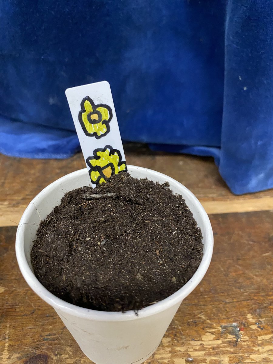 Greenmount Scouts tweet media