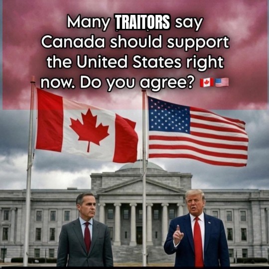 🇨🇦 Fred - King of New Scotland 🇨🇦 tweet media