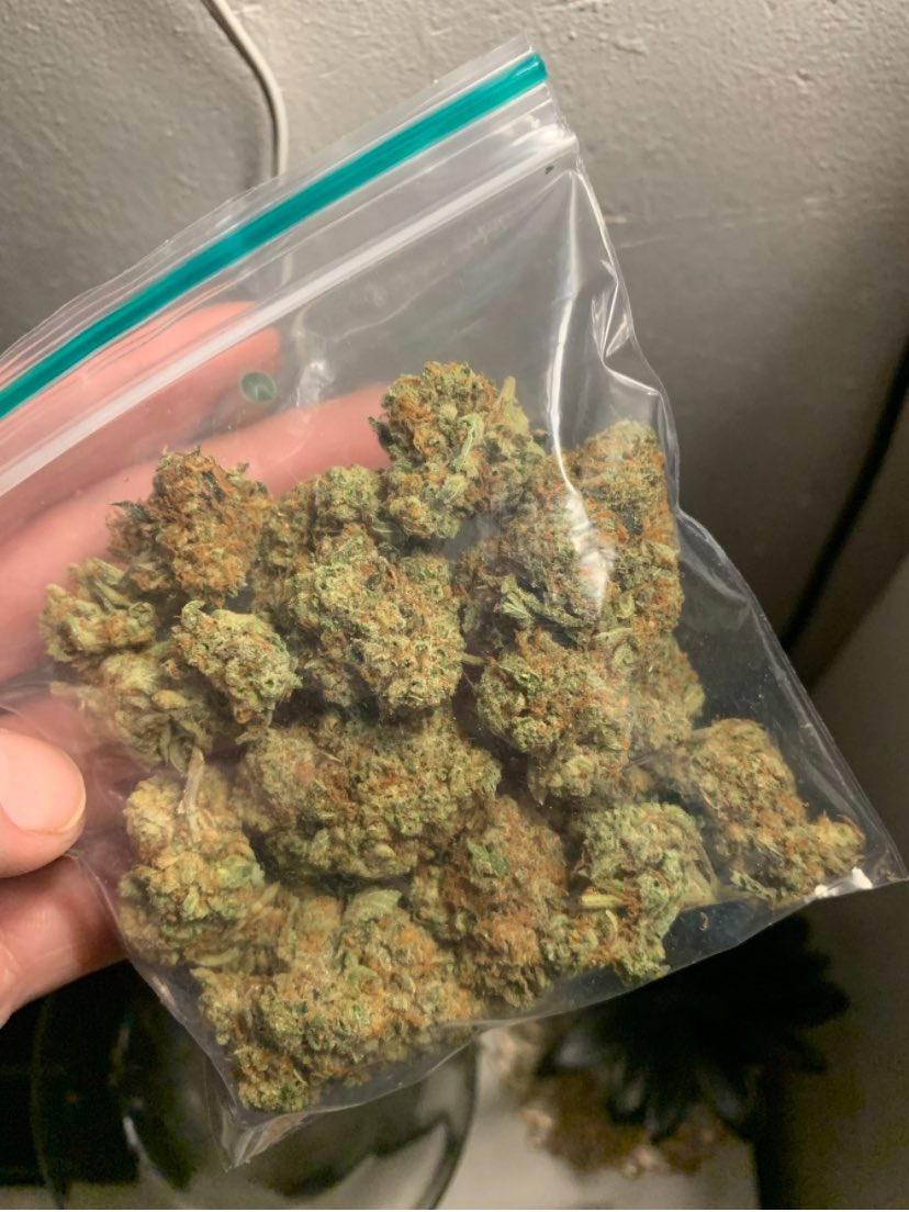 Cannabis Brasil tweet media