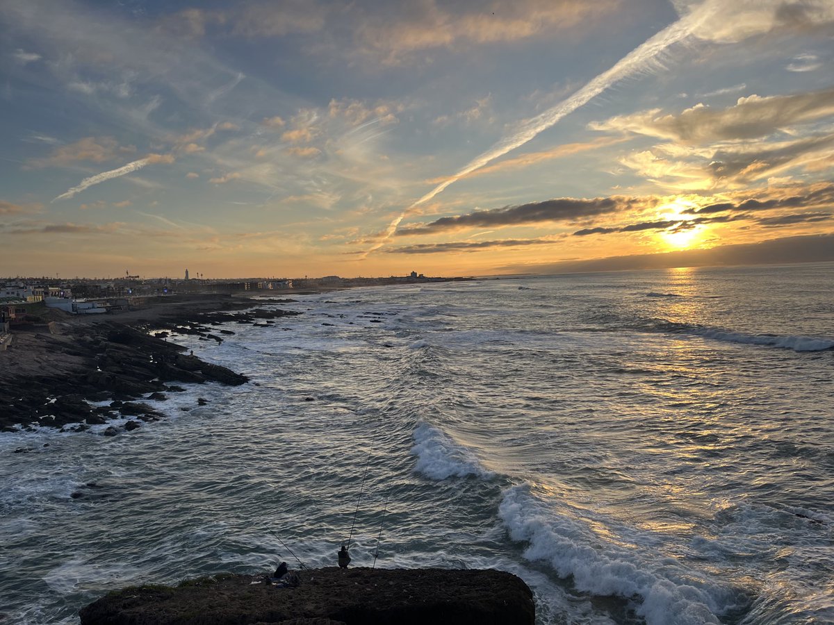 l3aawdaa tweet media