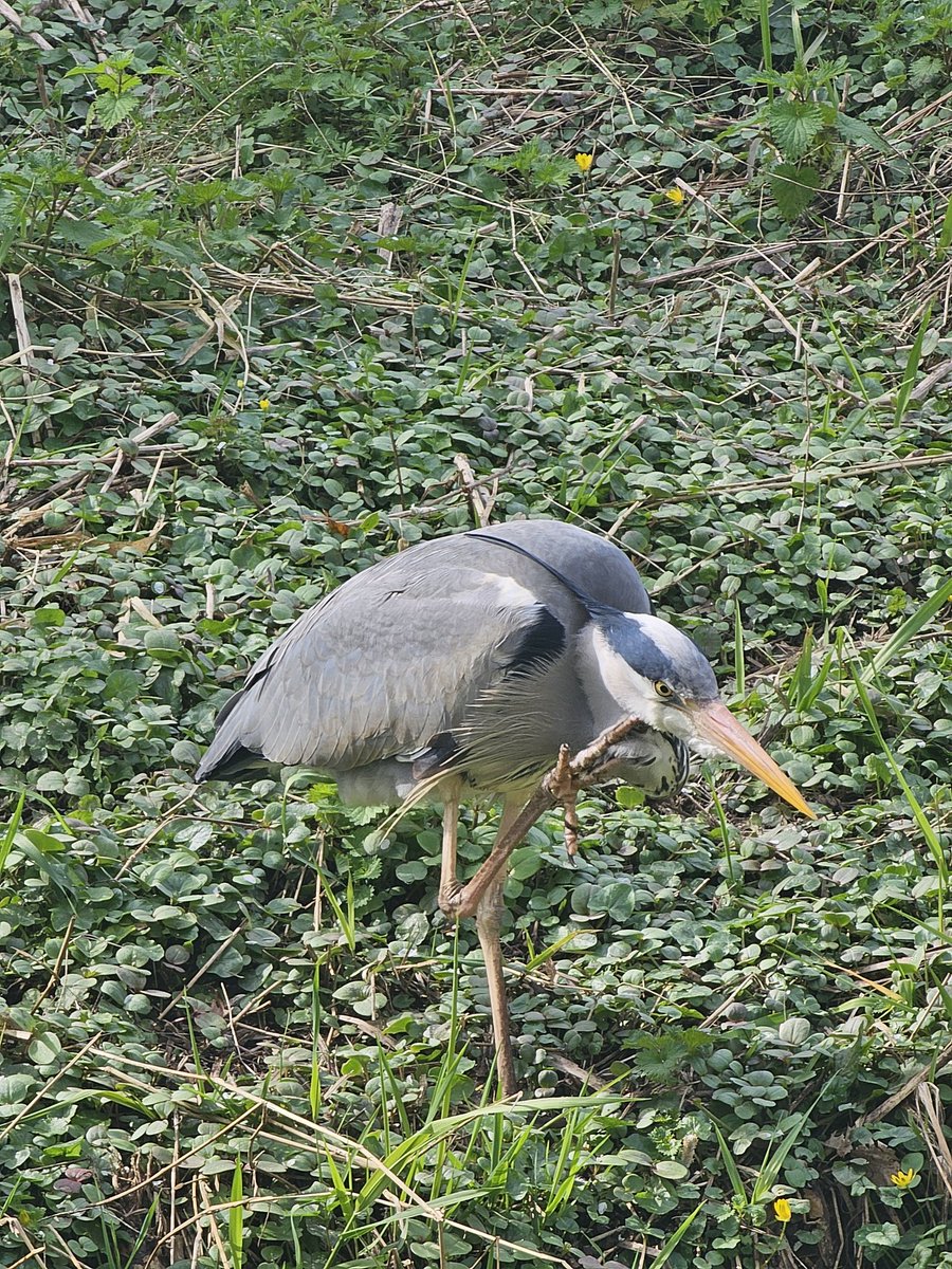 ๐ธ๐ซ๐ฅ๐๐ ๐ฆ ๐ฅโค๏ธโ๐ฅ tweet media