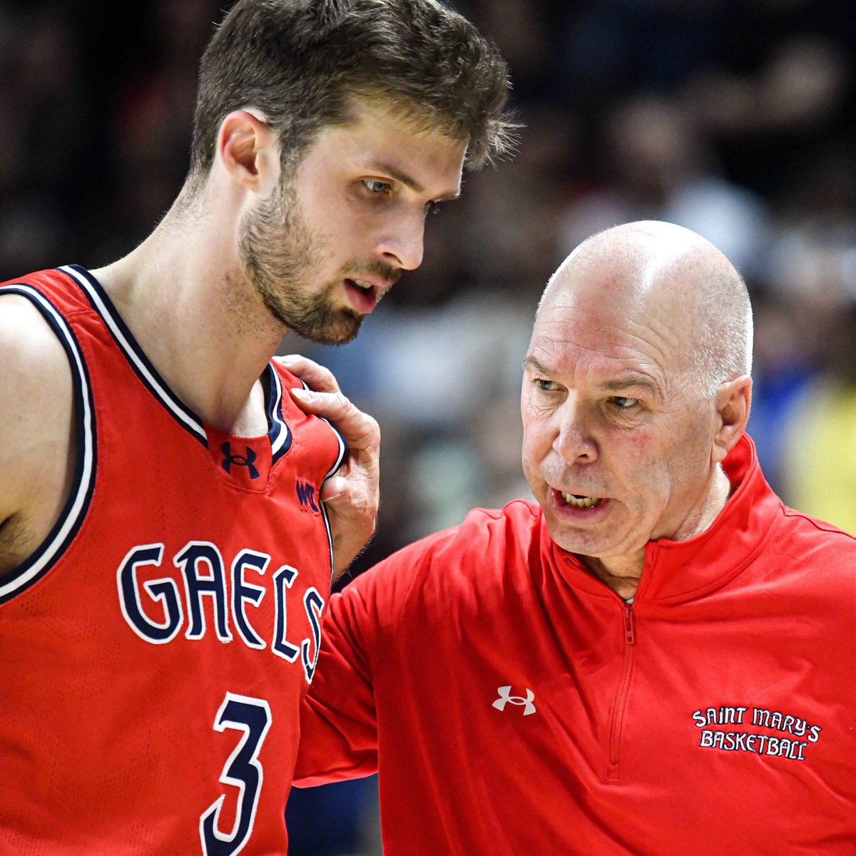 College Basketball Content tweet media