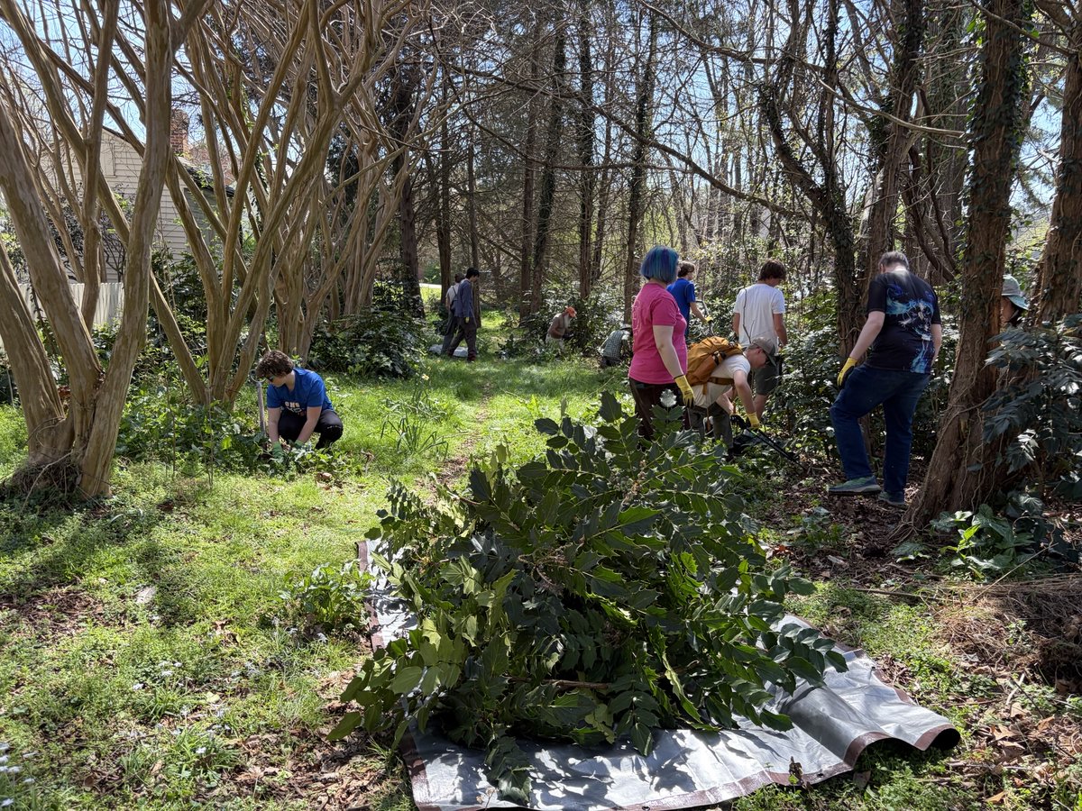 ToHGovSW's tweet photo. Yesterday, Hillsborough Tree Board volunteers removed invasive species at the Hillsborough Visitors Center. The results are stunning! Work will continue in the corridor to ensure the area is restored with native vegetation. More events here: 
https://t.co/cHMrjTTanq https://t.co/y3rScfunRU