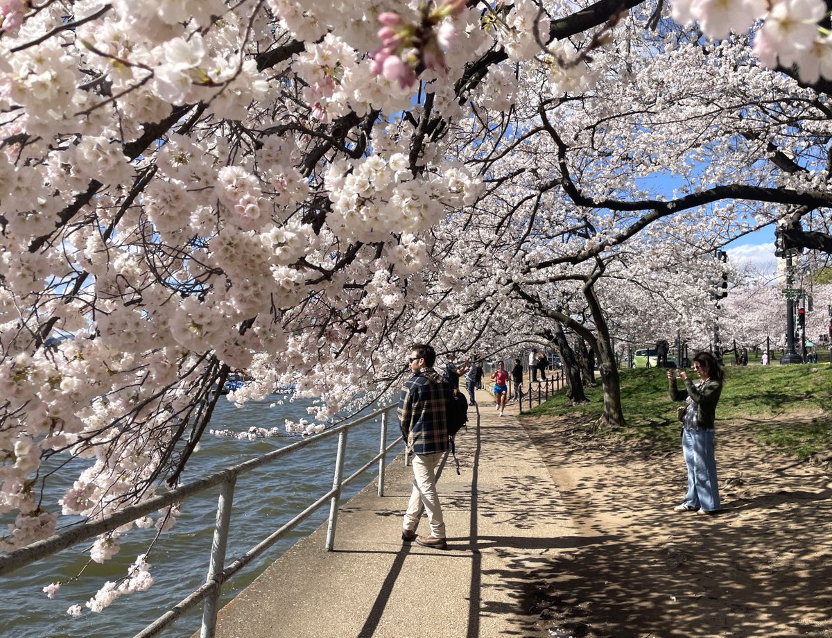 National Mall NPS tweet media