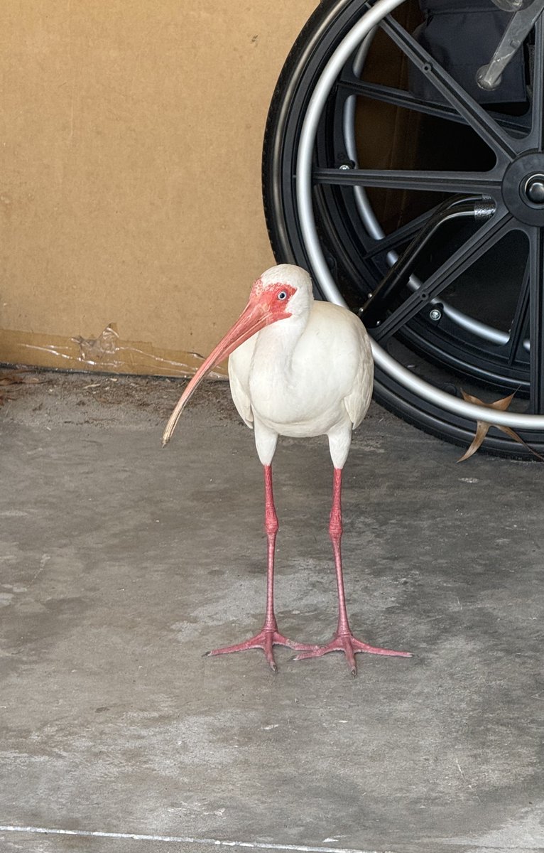 🇺🇸 Dave 🇺🇸 tweet media