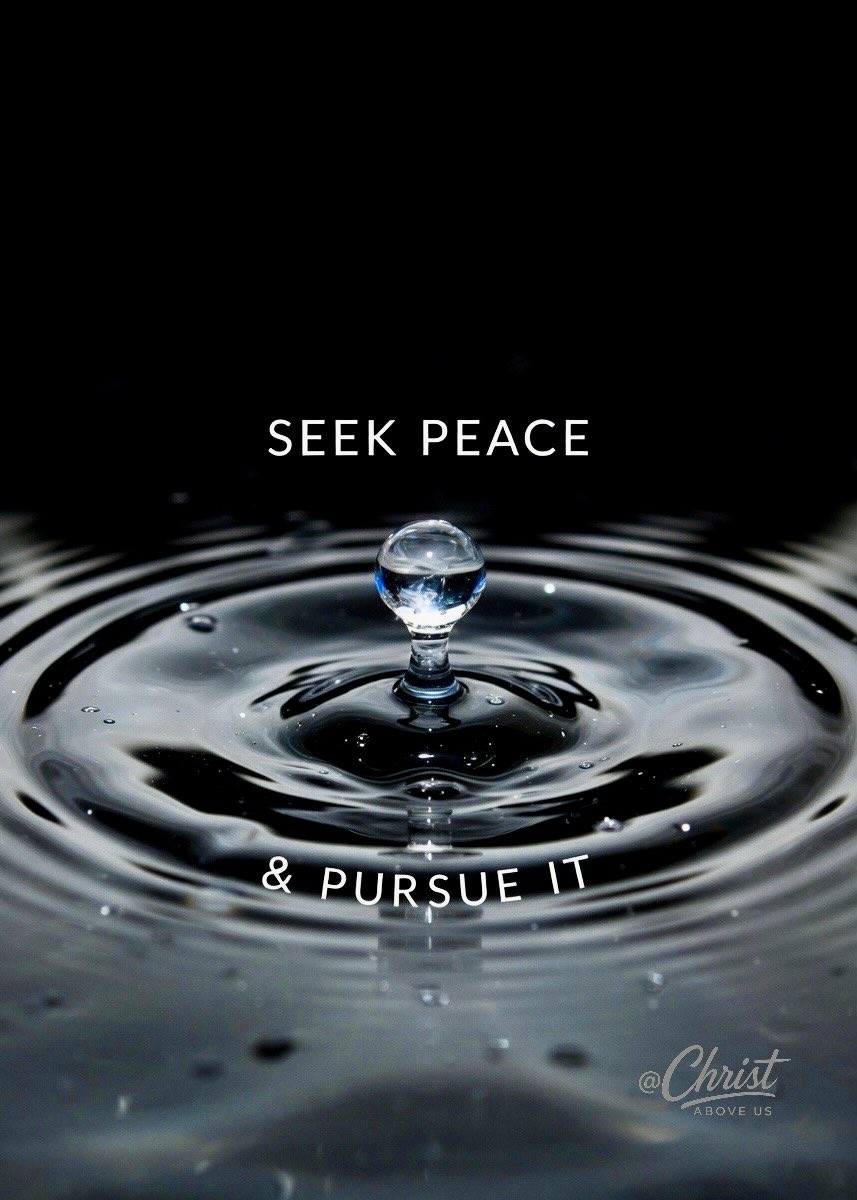 Depart from evil, and do good; seek peace, and pursue it.

Psalm 34:14 KJV