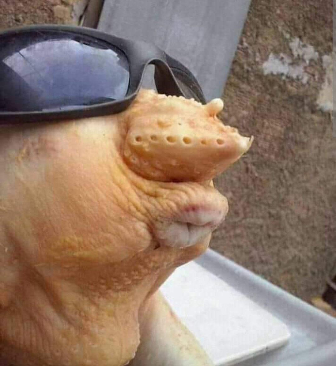 ☆HOPE☆ tweet media