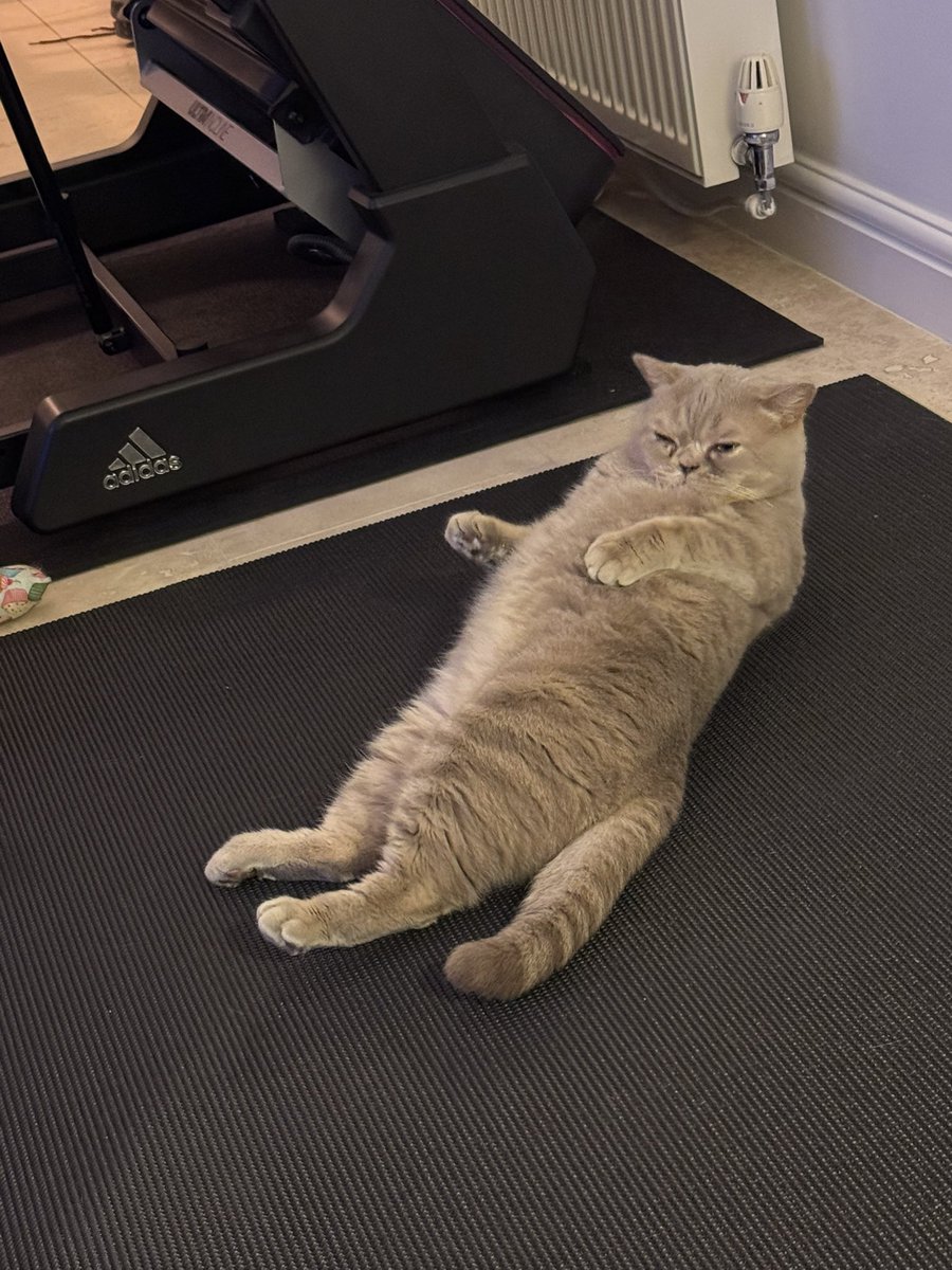 James Rai tweet media