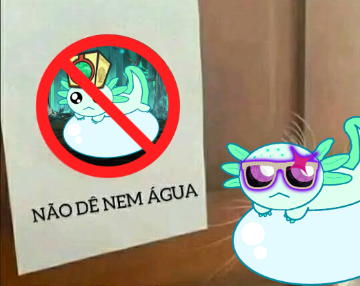 LCB Horii from Axolote Office tweet media