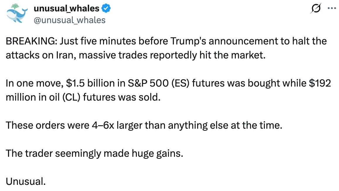 Molly Ploofkins tweet media